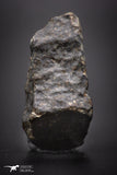 04422 - Unclassified NWA 16 g Chondrite L-H Type Meteorite Sahara Fall