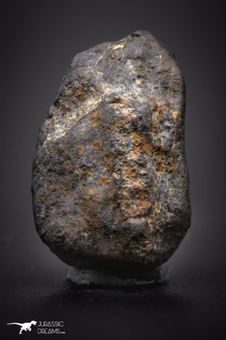 04424 - Unclassified NWA 14 g Chondrite L-H Type Meteorite Sahara Fall
