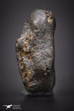 04424 - Unclassified NWA 14 g Chondrite L-H Type Meteorite Sahara Fall