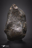 04424 - Unclassified NWA 14 g Chondrite L-H Type Meteorite Sahara Fall