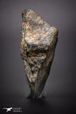 04426 - Unclassified NWA 27 g Chondrite L-H Type Meteorite Sahara Fall