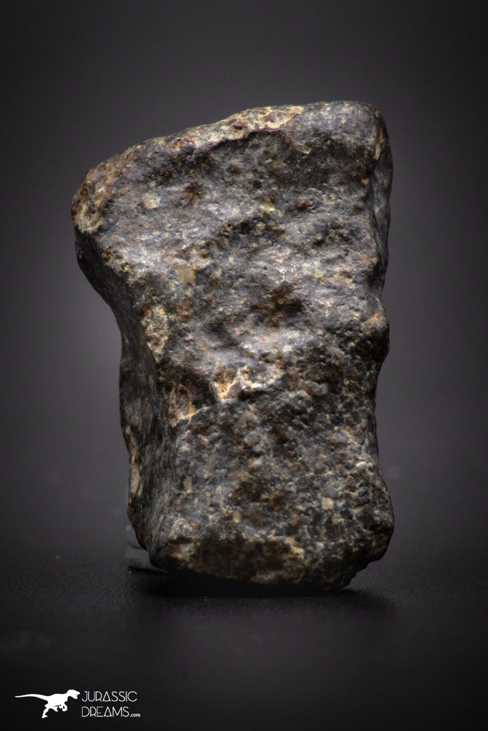 04428 - Unclassified NWA 19 g Chondrite L-H Type Meteorite Sahara Fall