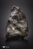 04428 - Unclassified NWA 19 g Chondrite L-H Type Meteorite Sahara Fall