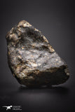 04428 - Unclassified NWA 19 g Chondrite L-H Type Meteorite Sahara Fall
