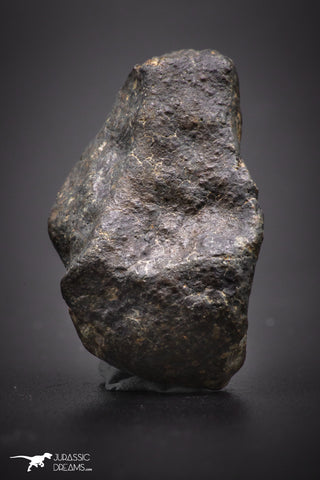 04429 - Unclassified NWA 16 g Chondrite L-H Type Meteorite Sahara Fall