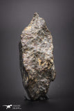 04430 - Unclassified NWA 21 g Chondrite L-H Type Meteorite Sahara Fall