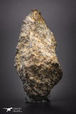 04430 - Unclassified NWA 21 g Chondrite L-H Type Meteorite Sahara Fall
