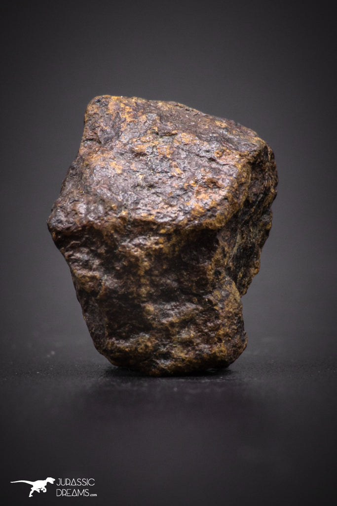 04431 - Unclassified NWA 3 g Chondrite L-H Type Meteorite Sahara Fall