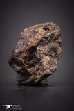 04431 - Unclassified NWA 3 g Chondrite L-H Type Meteorite Sahara Fall