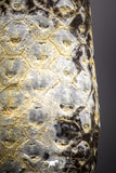 04470- Top Rare Fossilized Silicified Pine Cone EQUICALASTROBUS Eocene Sahara Desert invertebrates