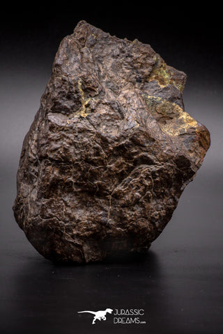 04538 - Unclassified NWA 1349 g Chondrite L-H Type Meteorite Sahara Fall