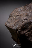 04538 - Unclassified NWA 1349 g Chondrite L-H Type Meteorite Sahara Fall