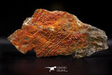 04637 -  Top Huge Red Vanadinite Crystals on Natural Manganese-Iron Oxide Matrix from Morocco