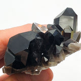 SWJ0126 - Premium Grade Smokey Quartz Crystal Cluster from classical Arkansas (USA) location