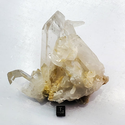 SWJ0128 - Premium Grade Clear Quartz Crystal Cluster from classical Arkansas (USA) location