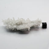 SWJ0132 - Finest Grade Clear Quartz Crystal Cluster from classical Bulgarian location