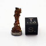 SWJ0137 - Top Rare Natural Zincite Orange Crystal from Poland
