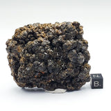 SWJ0050 - Exceedingly Rare Andradite Garnets with Sphalerite from Mexico