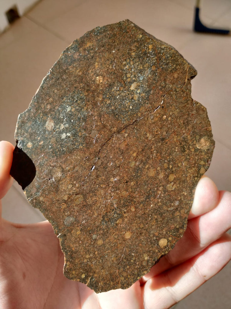 W4 Northwest Africa 13376 67.9g Slice LL3.4 Unequilibrated chondrite.