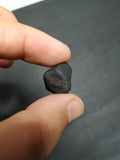 TARDA Carbonaceous Chondrite C2 Ung 3.47g Witnessed Meteorite