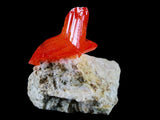 10100 - Stunning Bright Orange Arcanite Crystal Mineral Specimen From Poland