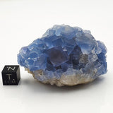 SWJ0028 - Finest Grade Blue Fluorite Crystal Cluster from Blanchard Mine (New Mexico)