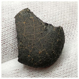 13021 P15 - New "NWA 14740" (Provisional) Carbonaceous Chondrite C3 Ung Meteorite 2.68g