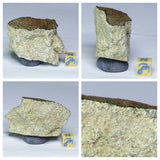 L113 - Amazing Crusted NWA 13343 Eucrite Monomict Meteorite 69.9g(143851766272) - Order Alen