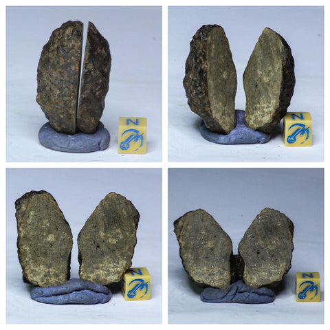 Steve legere Order - Lot of NWA Chondrites cut into two Halves