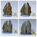 Order Jasper - V91, V93, V103, V83, V86, L107, L133, C45, L182