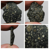Laurent Lode Order - Lot of Fossils & Meteorites