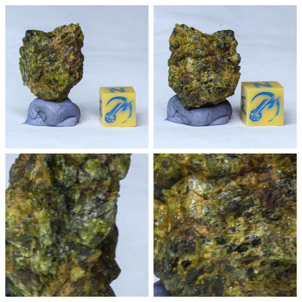 Order Waldemar - L217 & L95  Silicified Pine Cones EQUICALASTROBUS + Yellowish NWA 7831 Diogenite Meteorite 8.8g