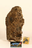 V95-New Oficially Classified NWA 13472 LL4-6 Chondrite Meteorite Thick Slice 44g - Order McLean