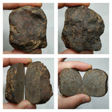 Lot of NWA Ordinary Chondrite Meteorites -  Order (143935193864)