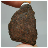 Lot of different Meteorites - Order 143935671270