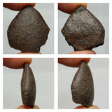 Lot of Different Meteorites: Unclassified NWA Chondrites, Taza NWA 859 - Order (143935394007)