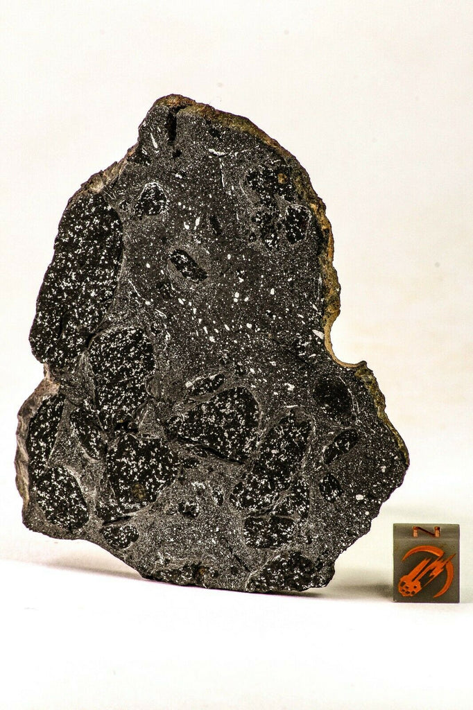 Meteorite Collection + Trilobite Collection Order 143950940216