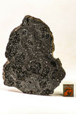 Meteorite Collection + Trilobite Collection Order 143950940216