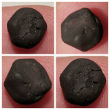 Lot of TARDA Carbonaceous Chondrite C2 Ungrouped Witnessed Meteorite