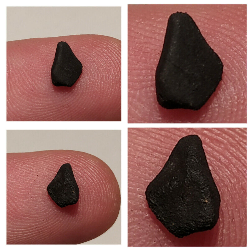 Lot of TARDA Carbonaceous Chondrite C2 Ungrouped Witnessed Meteorite