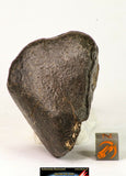 09016 - Almost Complete NWA Unclassified Ordinary Chondrite Meteorite 124.6 g (143947419060)