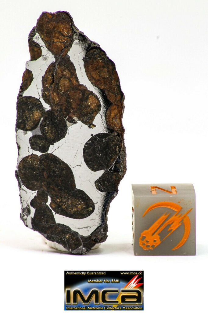 09154 - Sericho Pallasite Meteorite Polished Section Fell in Kenya 10.1 g(143951757622)