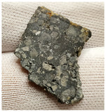 10076 -  Lunar Meteorite "NWA 13859" Feldspathic Breccia (Troctolite Rich) 2.66g Slice