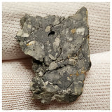 10077 -  Lunar Meteorite "NWA 13859" Feldspathic Breccia (Troctolite Rich) 2.26g Slice