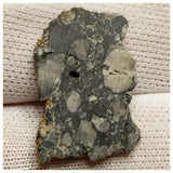 10078 -  Lunar Meteorite "NWA 13859" Feldspathic Breccia (Troctolite Rich) 1.32g Slice