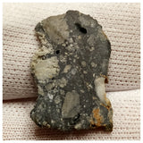 10078 -  Lunar Meteorite "NWA 13859" Feldspathic Breccia (Troctolite Rich) 1.32g Slice