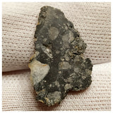 10079 -  Lunar Meteorite "NWA 13859" Feldspathic Breccia (Troctolite Rich) 1.05g Slice