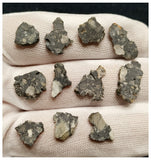 10080 -  Lunar Meteorite NWA 13859 Feldspathic Breccia (Troctolite Rich) - Collection 11 part slices 5.25g