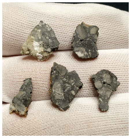 10081 -  Lunar Meteorite NWA 13859 Feldspathic Breccia (Troctolite Rich) - Collection 5 part slices 3.86g