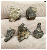 10081 -  Lunar Meteorite NWA 13859 Feldspathic Breccia (Troctolite Rich) - Collection 5 part slices 3.86g